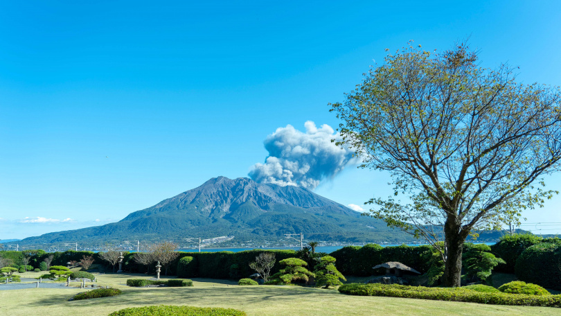 南九州行程除搭乘「指宿玉手箱列車」外，更至仙巖園賞櫻、遠眺櫻島以及抹茶體驗。
