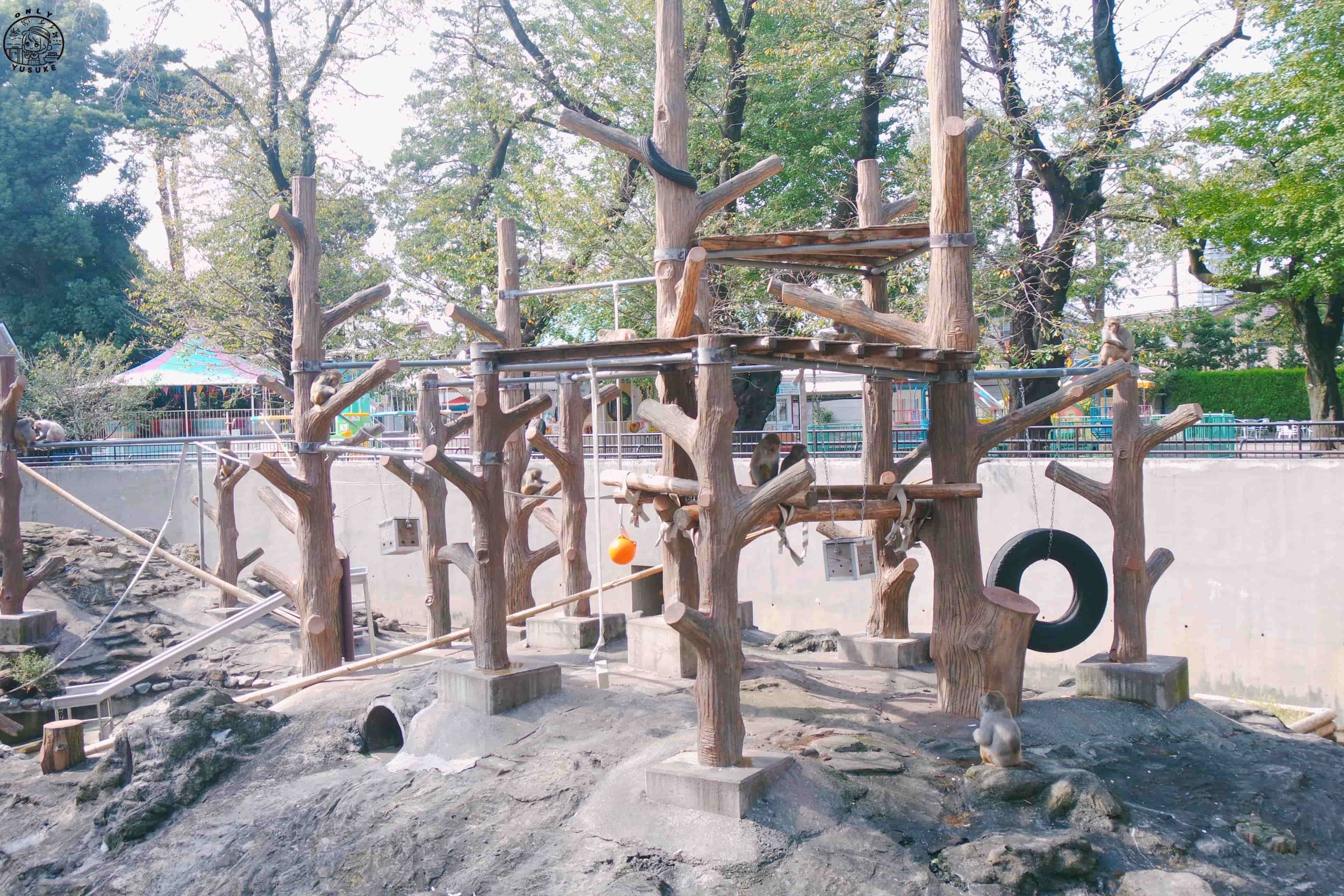 吉祥寺必吃必逛