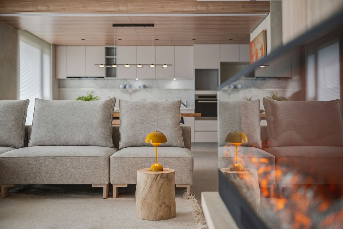 除濕機；住宅；室內設計