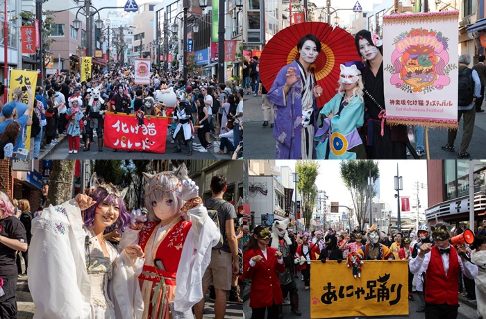 神樂坂 妖怪貓祭