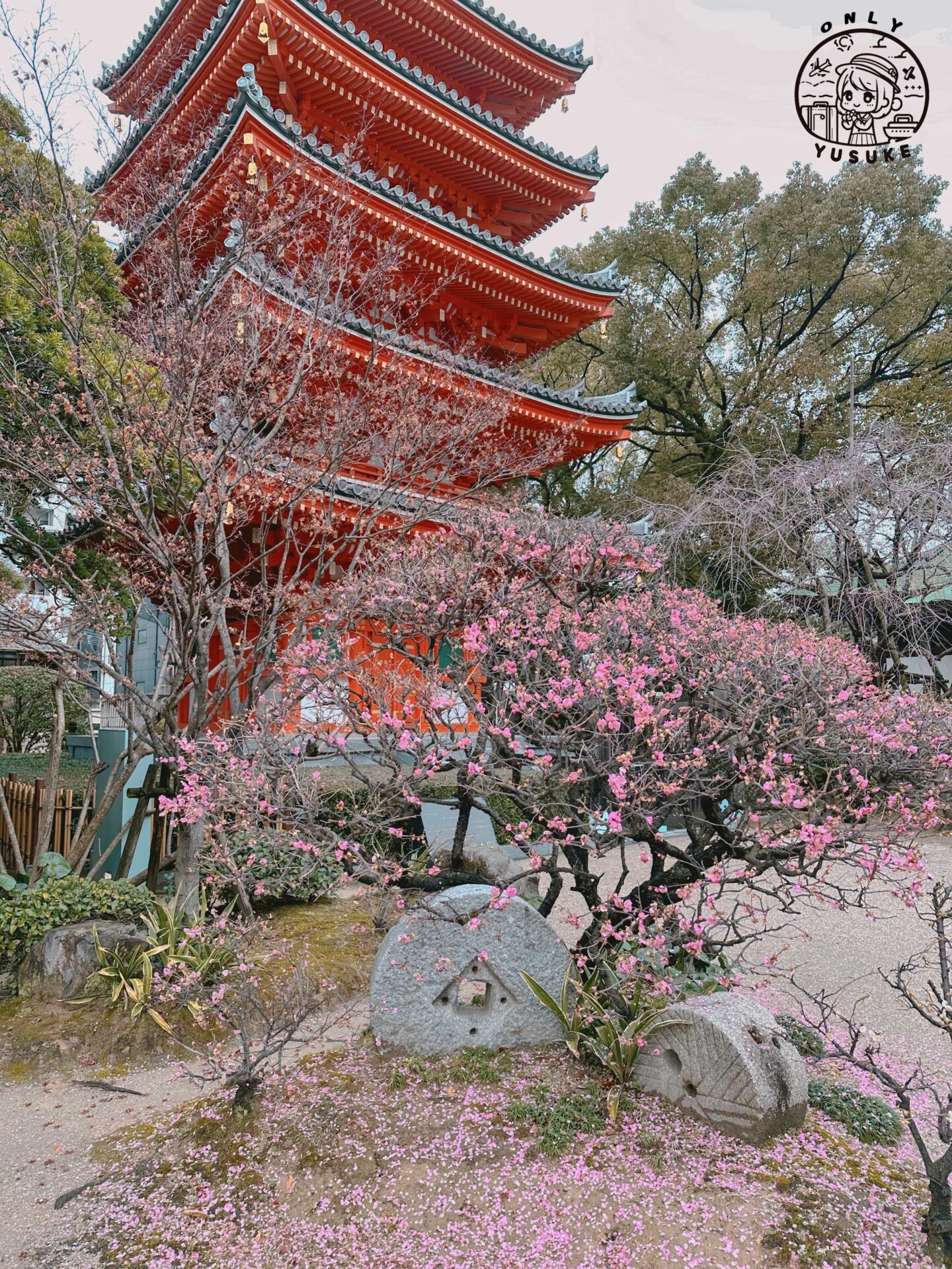 真言宗 東長寺介紹