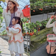 【2026全台採草莓推薦】每年最期待的草莓季來了！精選北中南熱門草莓園，親手採草莓最有趣！ - 好好玩FUNIT 2026