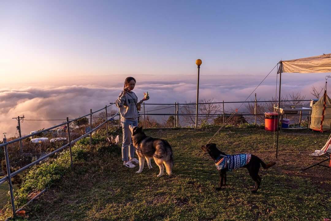 全台露營｜全台雲海露營地推薦TOP6，最熱門的露營區、最美麗的飄浮雲海，大自然的驚喜等你開啟。