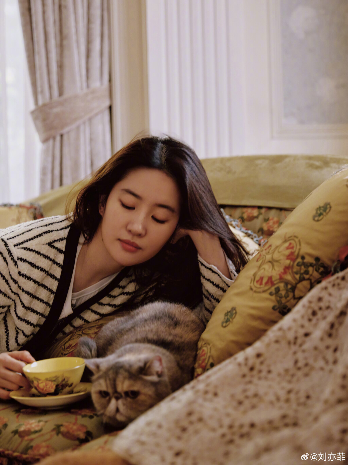 《玫瑰的故事》劉亦菲通透人生觀：