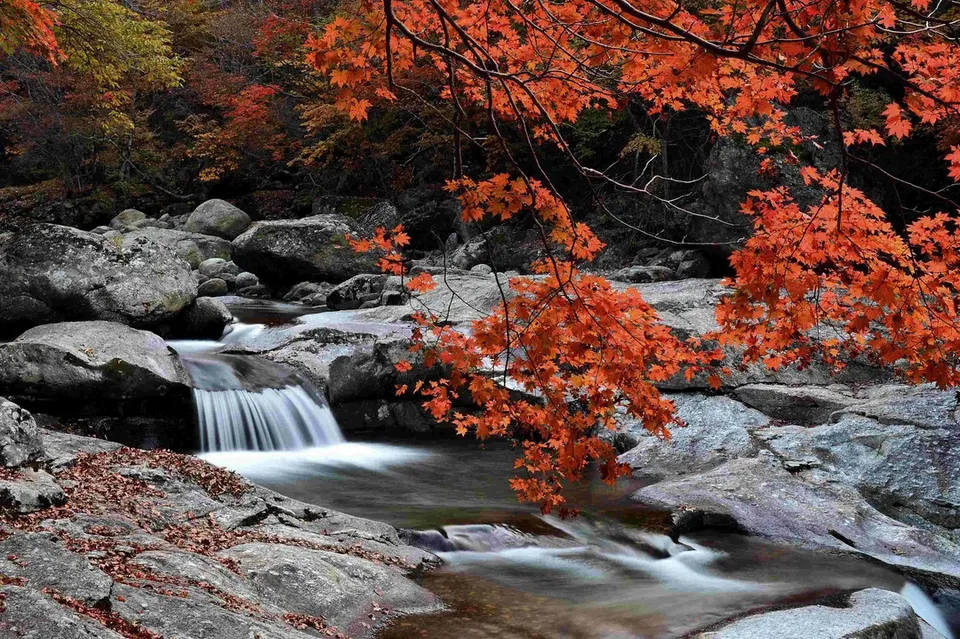 智異山國家公園溪谷景觀