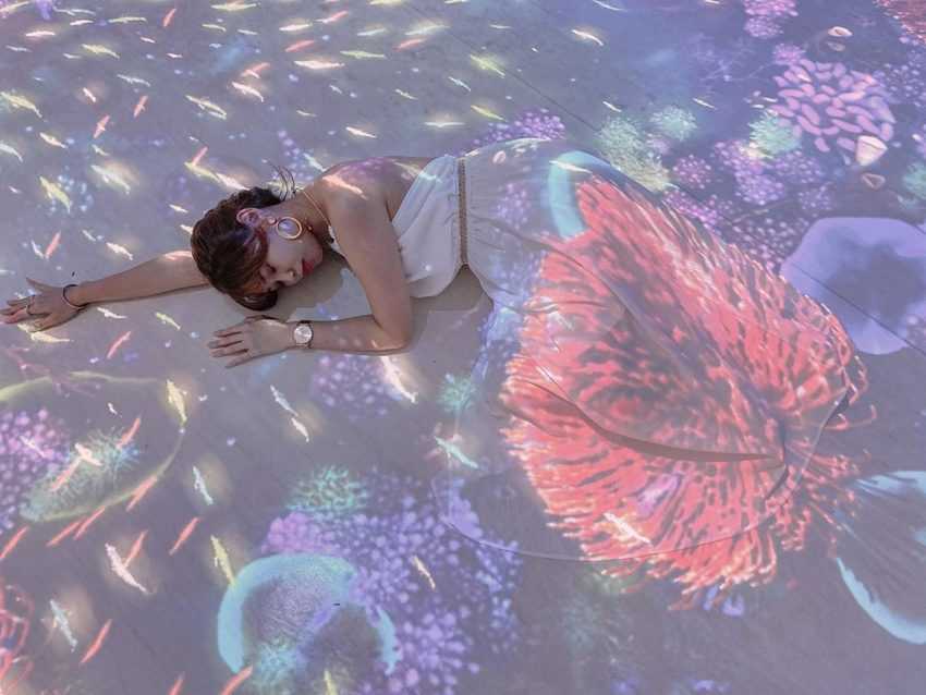 【Xpark水族館最新攻略】探索奇妙海洋世界！必逛展區/如何購票/美食餐廳/交通/夜宿懶人包