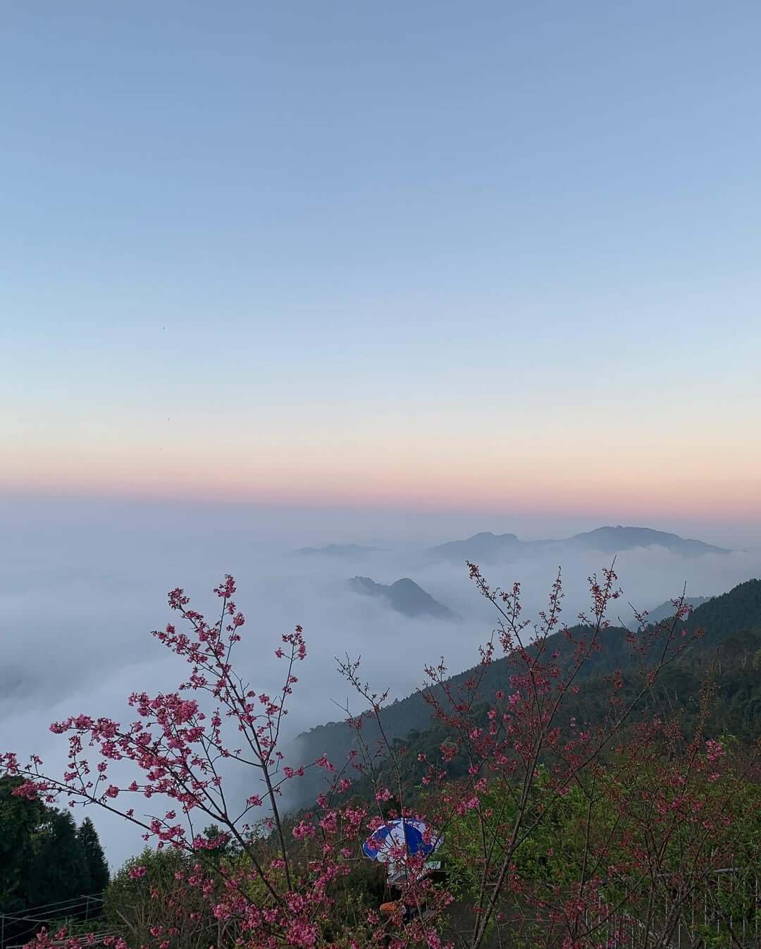 全台露營｜全台雲海露營地推薦TOP6，最熱門的露營區、最美麗的飄浮雲海，大自然的驚喜等你開啟。