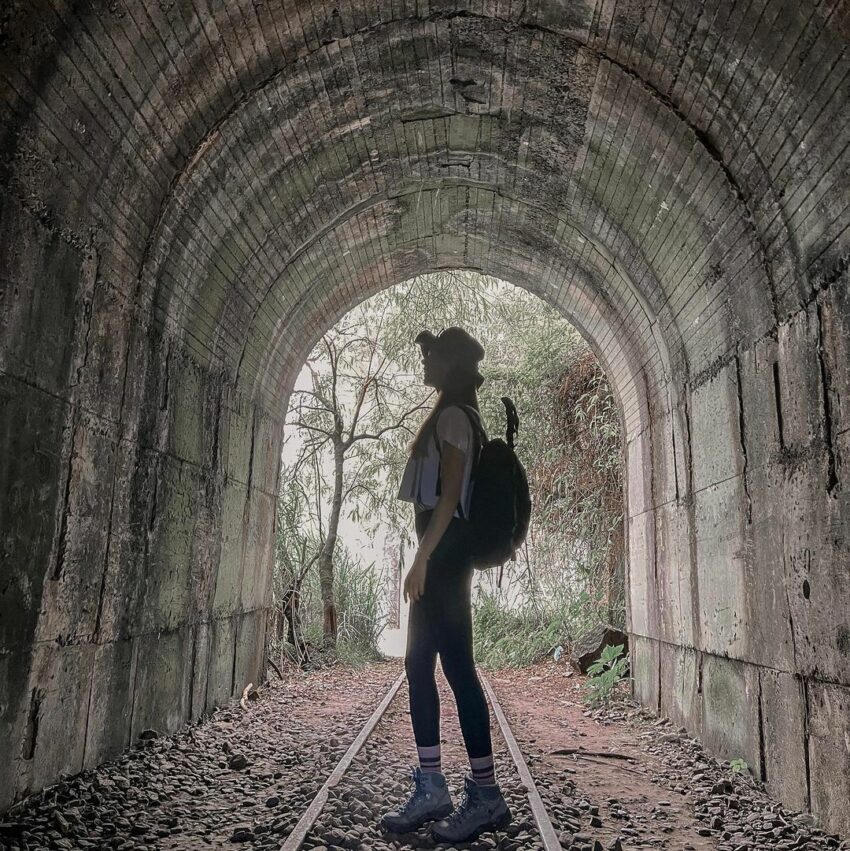 【阿里山接駁巴士】阿里山一日遊，阿里山接駁車讓你輕鬆玩阿里山兩天一夜不開車