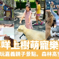 【咩咩上樹萌寵樂園】2026門票優惠、園區資訊、美食菜單總整理，嘉義親子景點推薦
