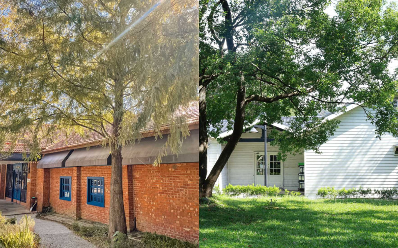 位於陽明山的生活風格場域「光在草山」，今年春季推出期間限定活動《春光森林野餐日》。（圖／品牌提供）