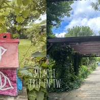 苗栗免門票景點【雅聞香草植物工廠】療癒系花園4個拍照打卡點