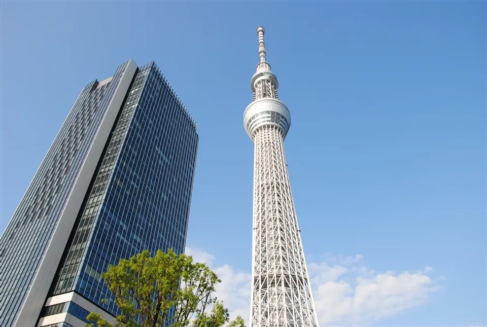 【東京旅遊】戲雪、登上晴空塔、富士山纜車、迪士尼、池袋購物、燒肉吃到飽、溫泉、五日、高雄來回-8