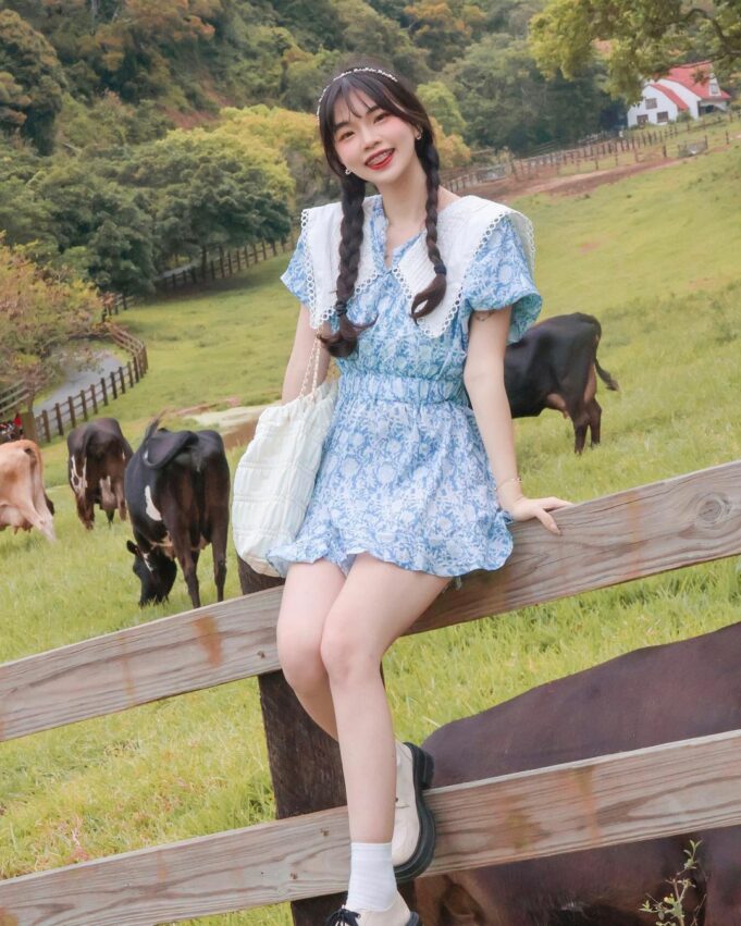 【飛牛牧場】苗栗通霄好玩的親子景點，門票優惠、園區介紹、住宿推薦懶人包
