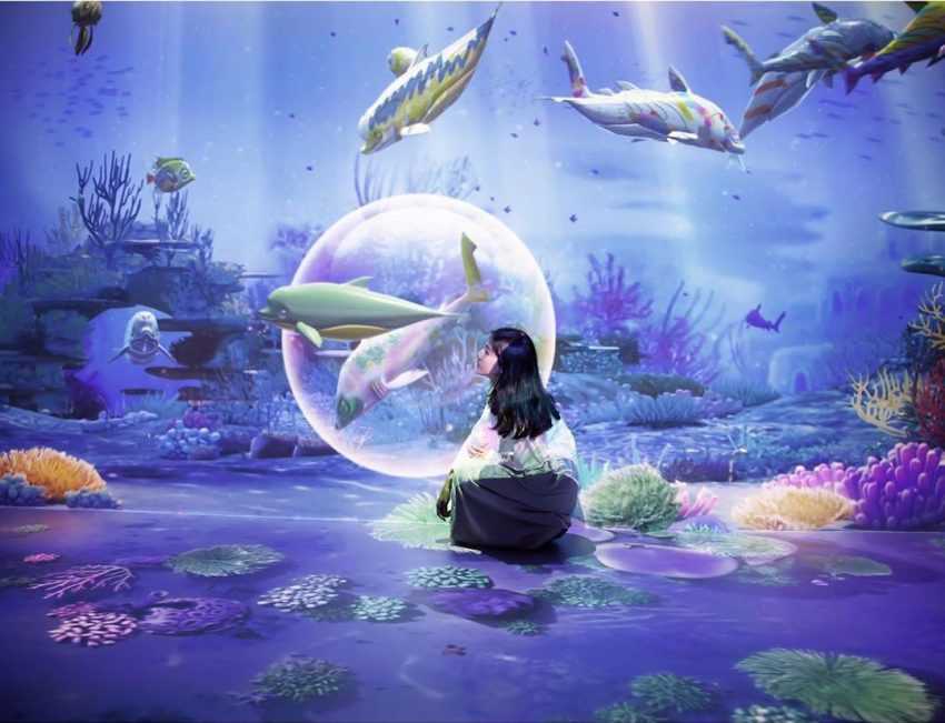 【Xpark水族館最新攻略】探索奇妙海洋世界！必逛展區/如何購票/美食餐廳/交通/夜宿懶人包