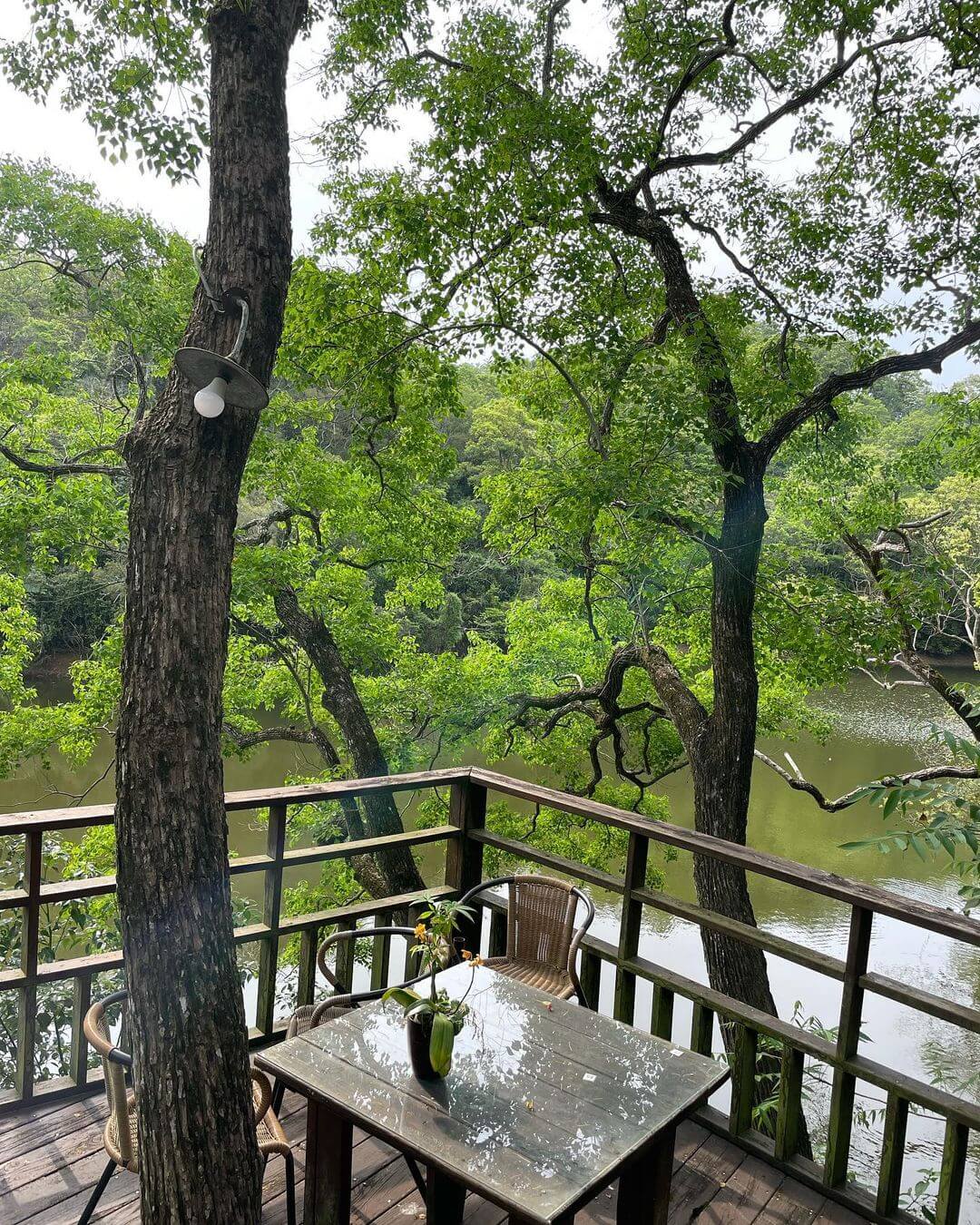 苗栗景點｜精選8個苗栗室內景點，漫遊獨特韻味的紅磚古厝，體驗刺激有趣的遊樂園，就算下雨也不掃興。