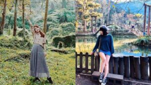 【溪頭自然教育園區】精選必訪溪頭景點、門票優惠、交通方式，溪頭森林遊樂區一日遊