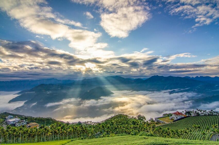 阿里山日出｜6大阿里山賞日出好地點、日出時間、交通行程攻略