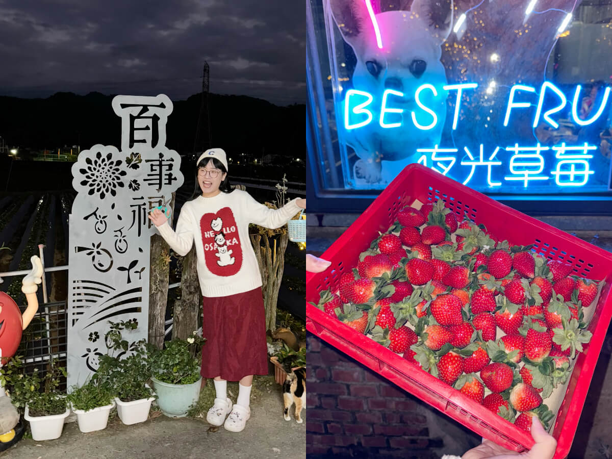 影｜苗栗一日遊｜新手懶人露營推薦！超Chill異國風、寵物友善，還能採夜光草莓！