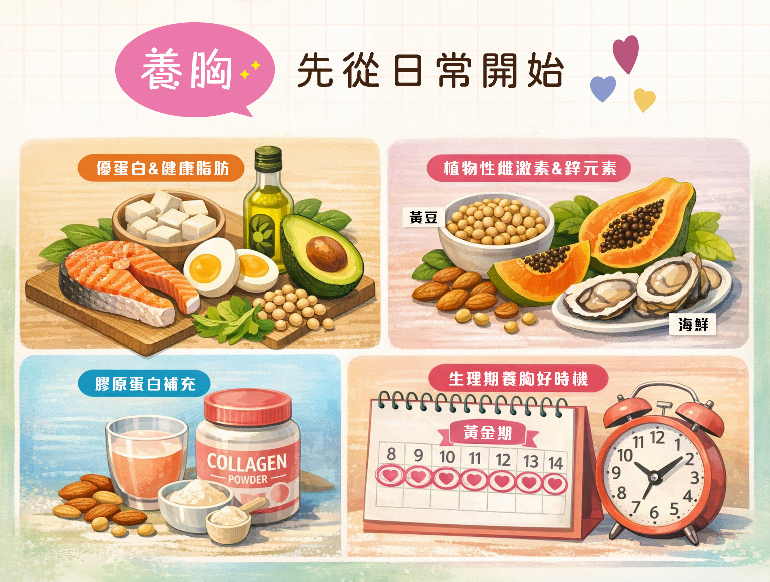 曼黛瑪璉,瑪登瑪朵,內衣,養胸飲食,優質蛋白,健康脂肪,植物性雌激素,膠原蛋白,生理期養胸