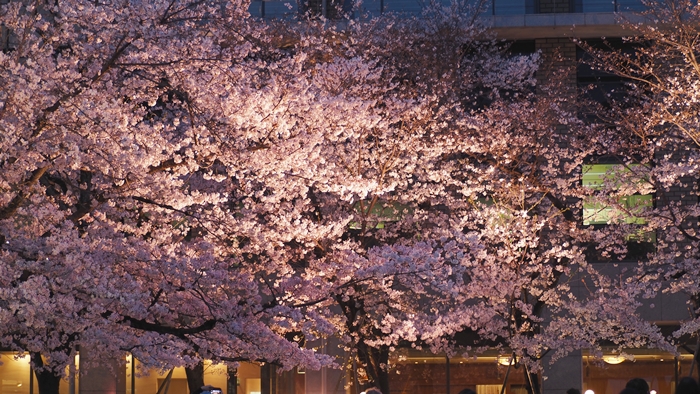 縮景園