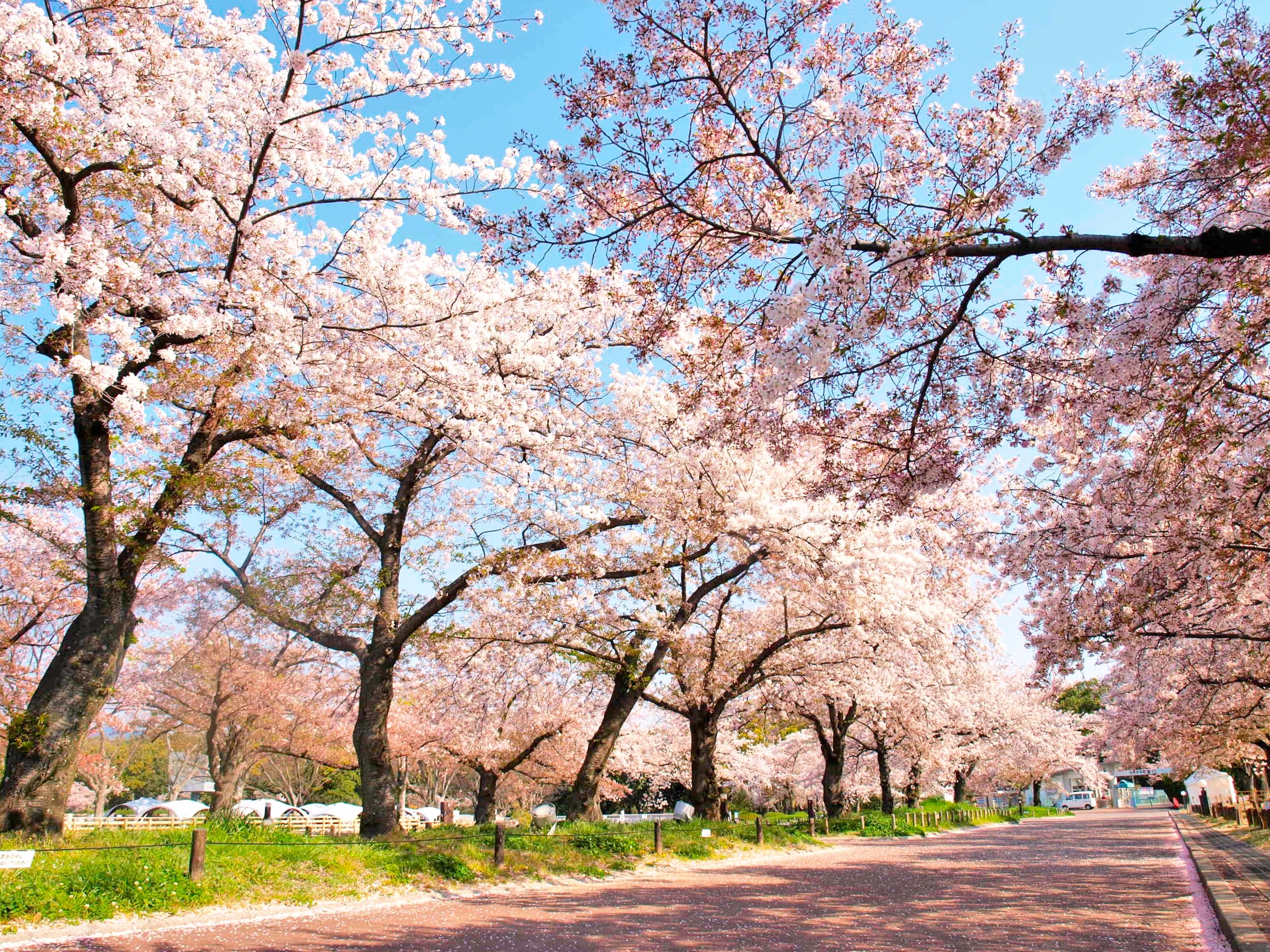 萬博紀念公園