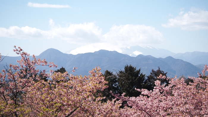 里山花祭