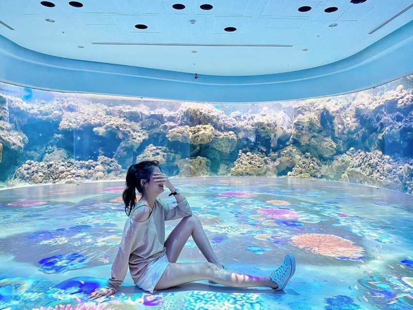 【Xpark水族館最新攻略】探索奇妙海洋世界！必逛展區/如何購票/美食餐廳/交通/夜宿懶人包