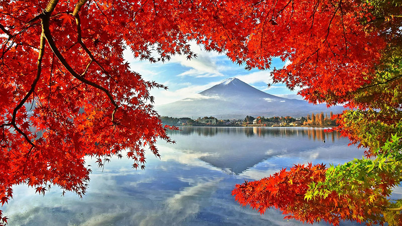 河口湖紅葉迴廊