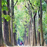 端午連假來六龜遊山城 寶來不老泡湯正合適