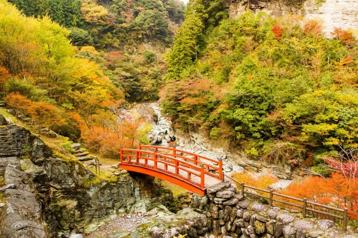 四國紅葉推薦景點－高知 安居溪谷