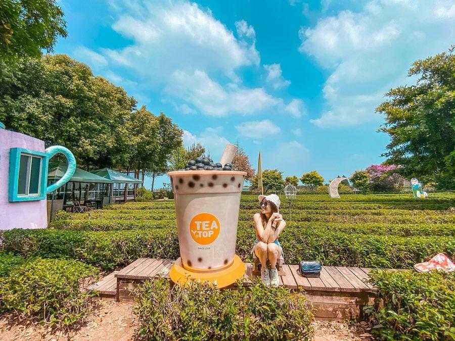 南投名間︱茶二指故事館︱哪來的巨大杯珍奶？！好玩又好拍的茶葉故事館、茶園