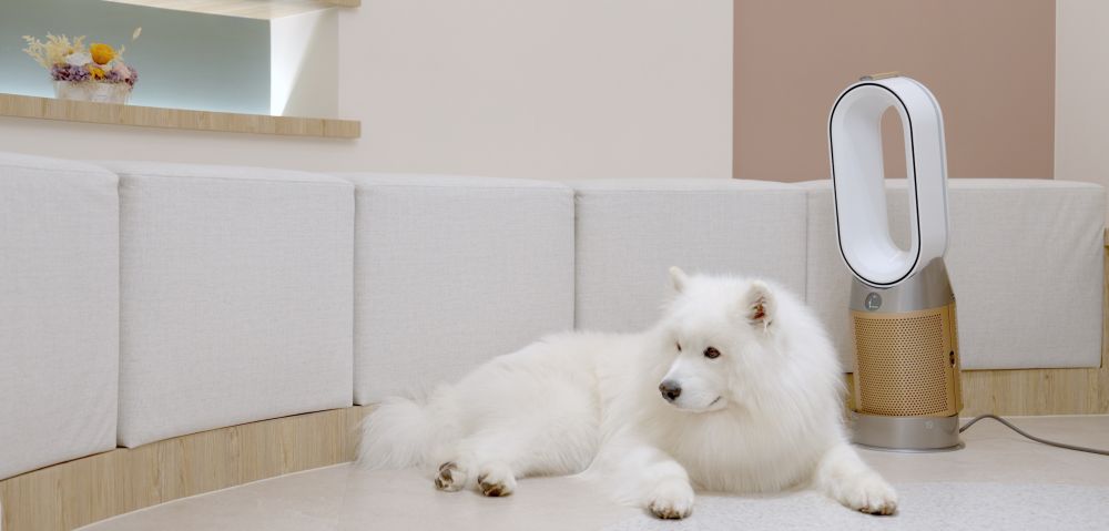 Dyson 推多款空氣清淨機均內建固態甲醛感應器守護居家健康（Dyson Purifier Big+Quiet Formaldehyde、Dyson Purifier Cool Formaldehyde）