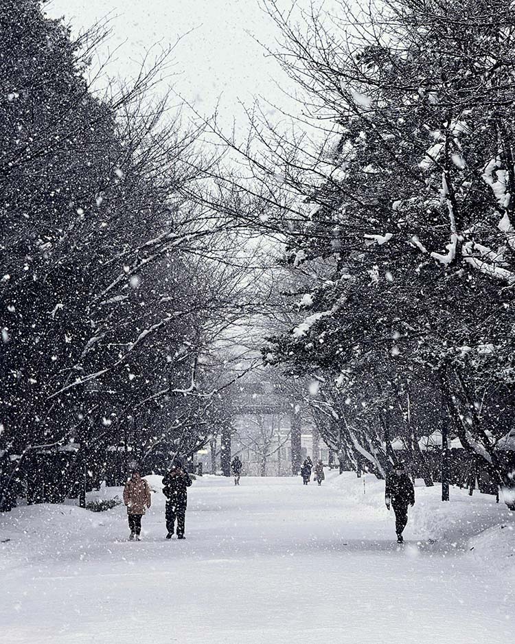 泰國獅航將首度開通札幌航線，每週三班，為冬季雪旅添上新選項