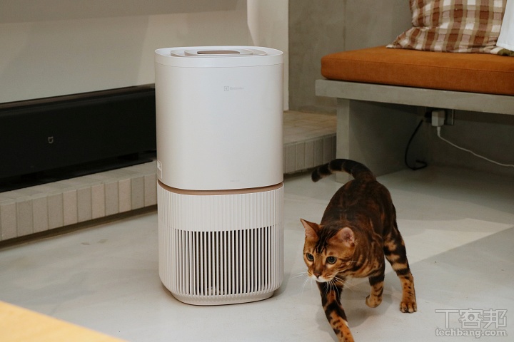 伊萊克斯「極適家居 500 寵物抗敏空氣清淨機」在台上市！可捕捉浮毛、降低過敏原，售價 $14,900 元