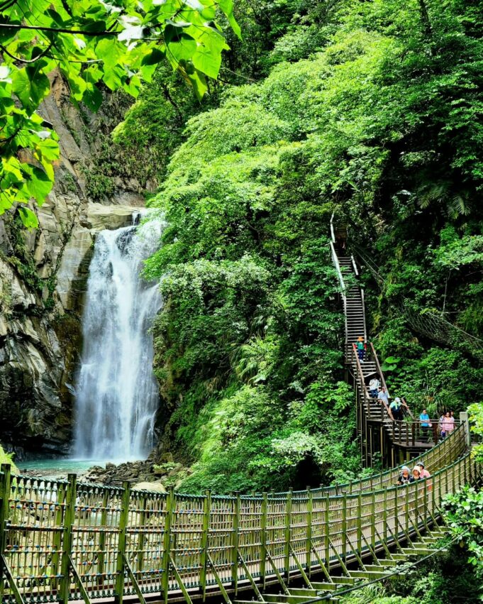 阿里山景點報你知！嘉義阿里山2天1夜行程規劃、住宿門票優惠攻略，教你阿里山開車怎麼玩！