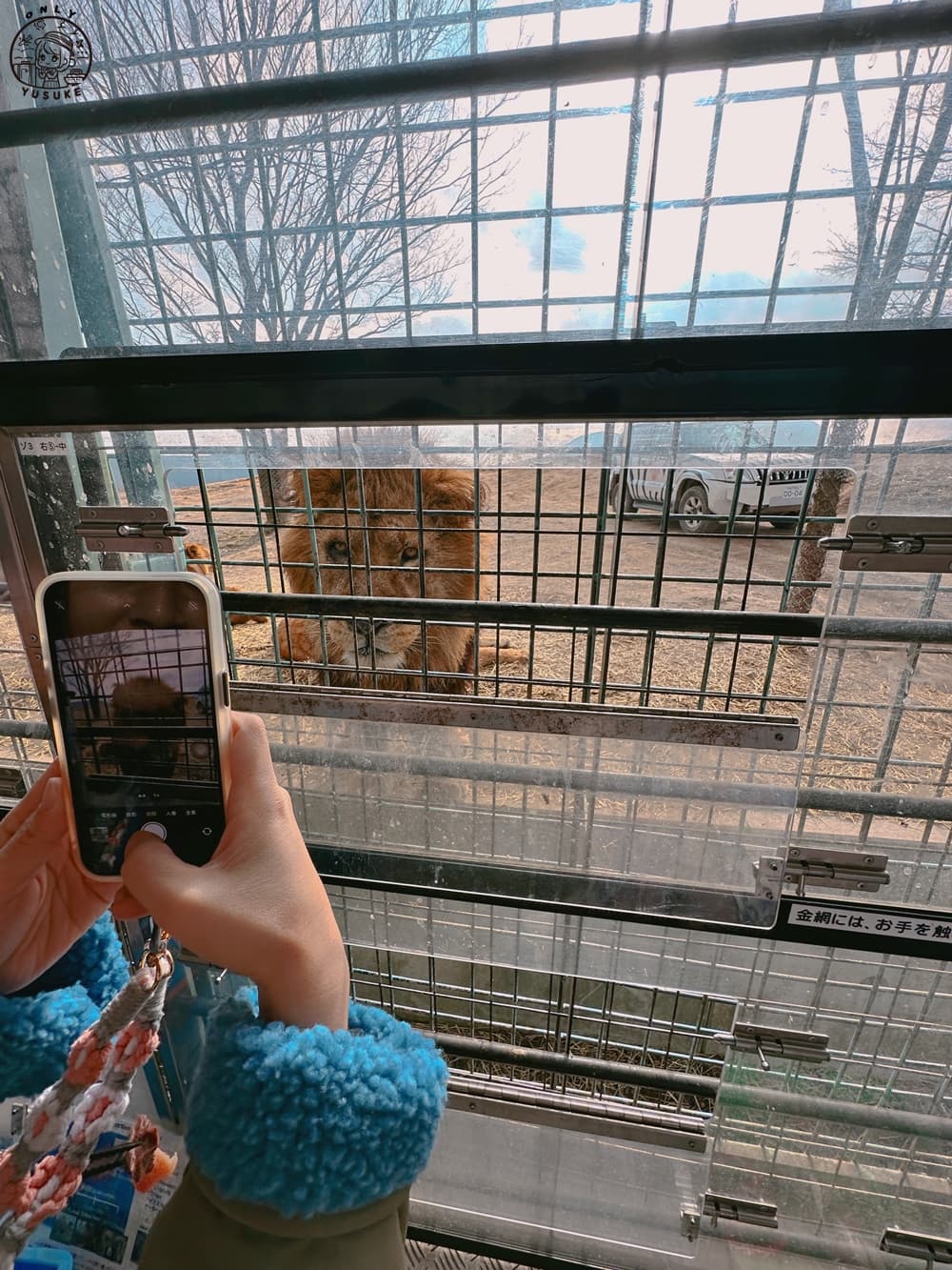 九州自然動物園叢林巴士