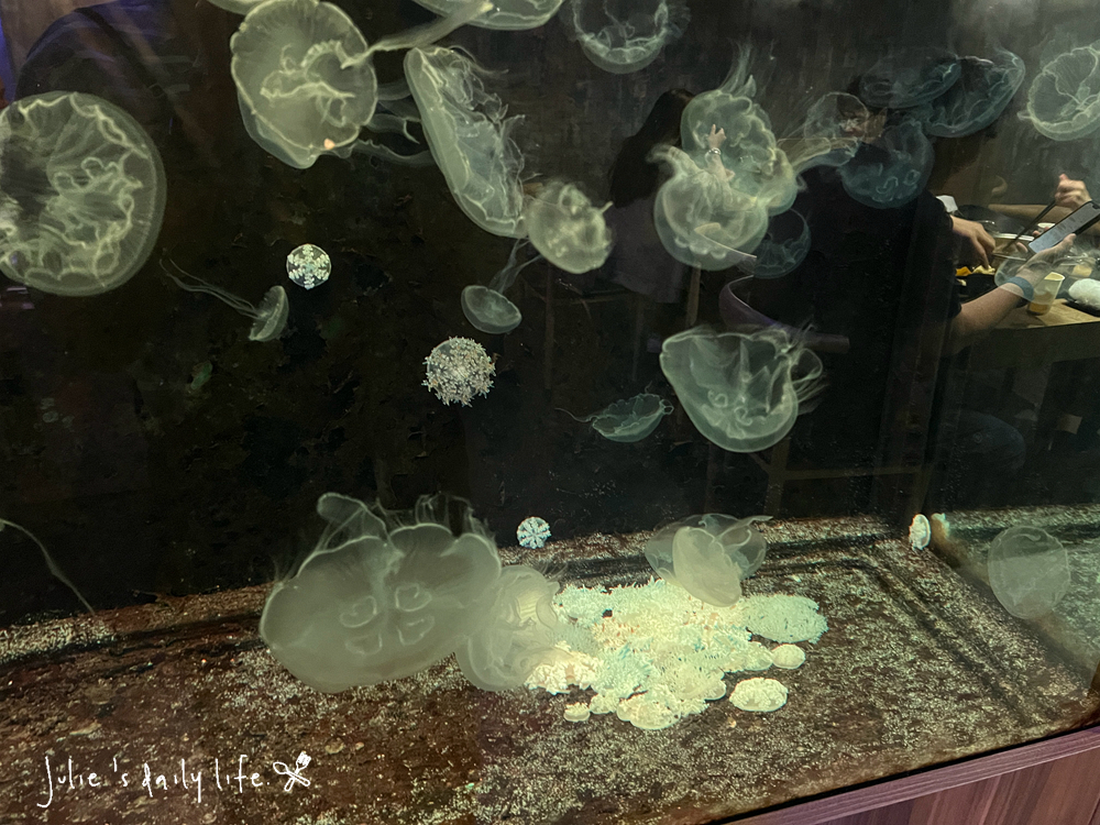 刷刷鍋,和牛,文化路,板橋,板橋火鍋,板橋車站,活蝦,海牧,海牧水產鍋物,海牧火鍋,海鮮,涮涮鍋,火鍋,火鍋推薦,聚餐推薦,鍋物,餐廳推薦,鴛鴦鍋,麻辣鍋 @跟著Julie一起走吧