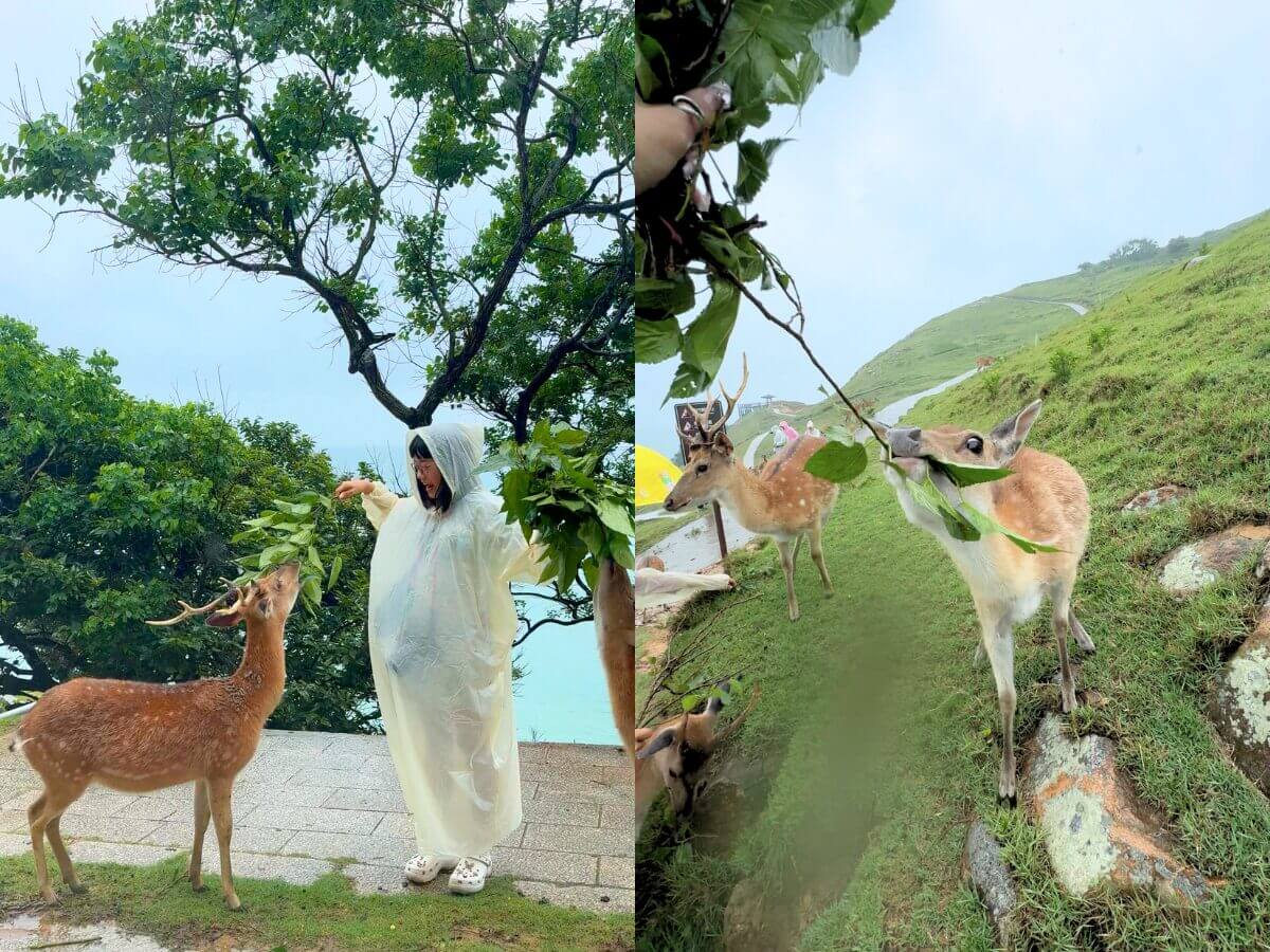 馬祖景點｜網路爆紅景點TOP5：鹿島漫步、石屋秘境、歷史與美景的結合！