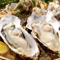 舌尖上的廣島冬日旬味 從檸檬鍋、牡蠣六吃到美食市集　走進暖味暖心的滋補饗宴 | Japaholic