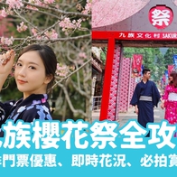 【2026九族櫻花祭】門票優惠、賞櫻地點，九族櫻花季賞夜櫻攻略